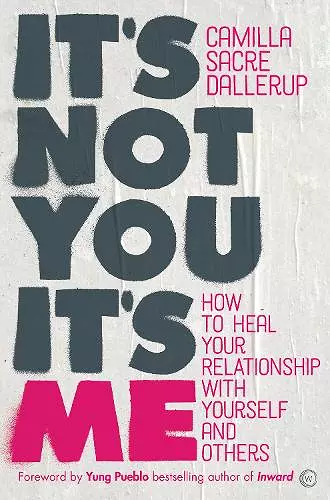 It's Not You, It's Me cover