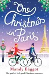 One Christmas in Paris cover