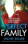 The Perfect Family cover