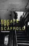 Escape the Scaffold cover