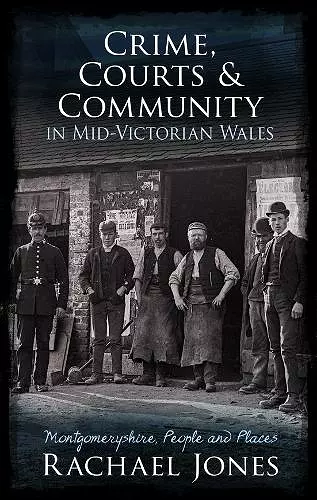 Crime, Courts and Community in Mid-Victorian Wales cover