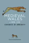 Medieval Wales c.1050-1332 cover