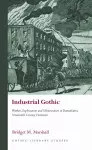 Industrial Gothic cover