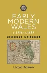 Early Modern Wales c.1536–c.1689 cover