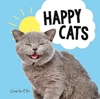 Happy Cats cover