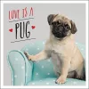 Love is a Pug cover
