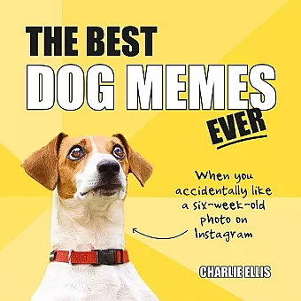 The Best Dog Memes Ever cover