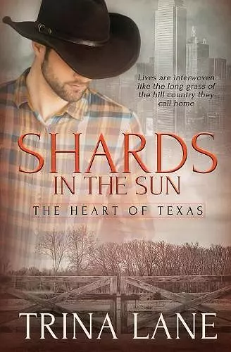 Shards in the Sun cover