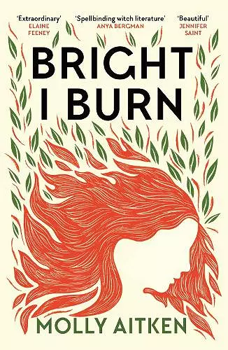 Bright I Burn cover
