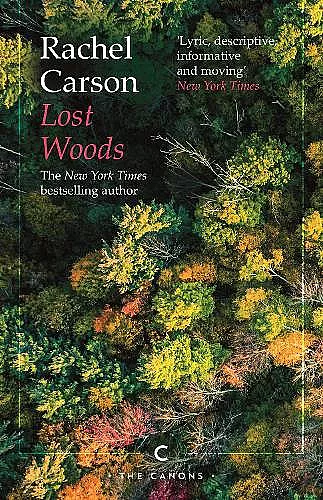 Lost Woods cover