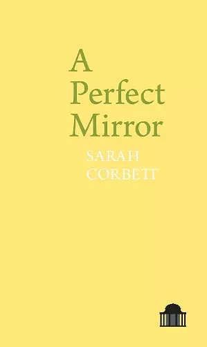 A Perfect Mirror cover