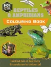 Bear Grylls Colouring Books: Reptiles cover