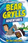 A Bear Grylls Adventure 4: The Sea Challenge cover