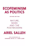 Ecofeminism as Politics cover