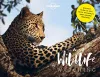 Lonely Planet's A-Z of Wildlife Watching cover