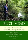 Blick Mead: Exploring the 'first place' in the Stonehenge landscape cover