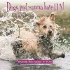 Dogs Just Wanna Have Fun! cover