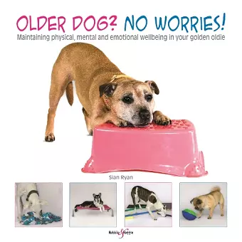 Older Dog? No Worries! cover