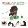 No Walks? No Worries! cover