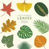 The Little Guide to Leaves cover