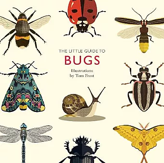 The Little Guide to Bugs cover