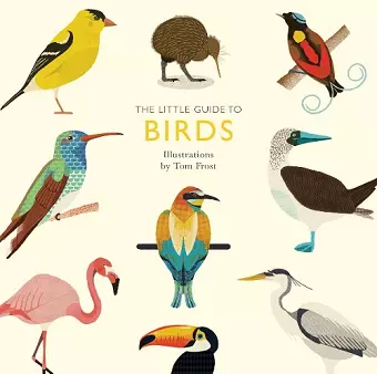 The Little Guide to Birds cover