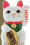 Lucky Cat cover