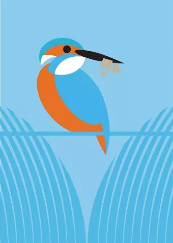I Like Birds: River, Estuary & Shore cover