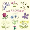 The Little Guide to Wildflowers cover