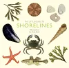 The Little Guide to Shorelines cover