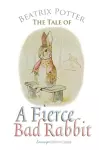 The Tale of a Fierce Bad Rabbit cover