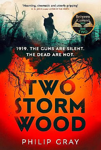 Two Storm Wood cover