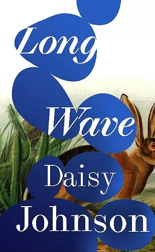 Long Wave cover