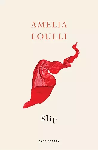 Slip cover