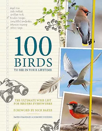 100 Birds to See in Your Lifetime cover