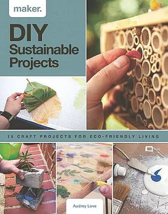 Maker.DIY Sustainable Projects cover