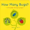 How Many Bugs? cover