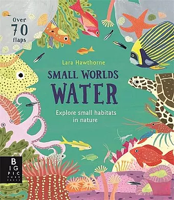 Small Worlds: Water cover