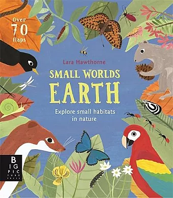 Small Worlds: Earth cover