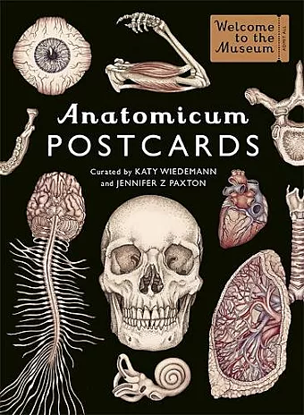 Anatomicum Postcard Box cover