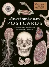 Anatomicum Postcard Box packaging