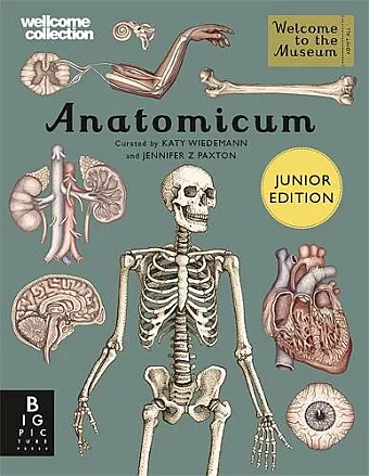 Anatomicum Junior cover