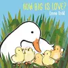 How Big Is Love? cover
