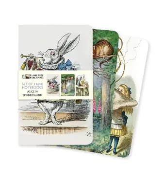 Alice in Wonderland Set of 3 Mini Notebooks cover
