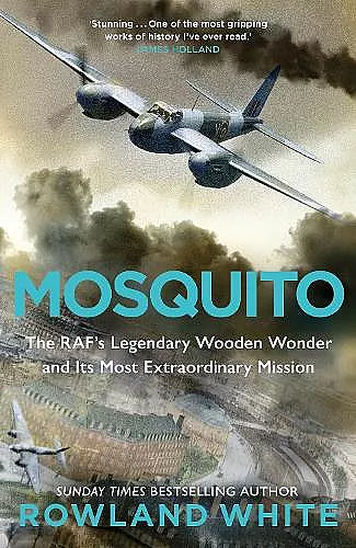 Mosquito cover