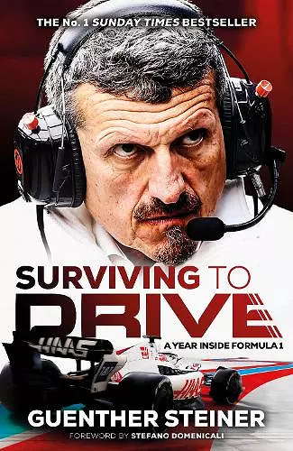 Surviving to Drive cover