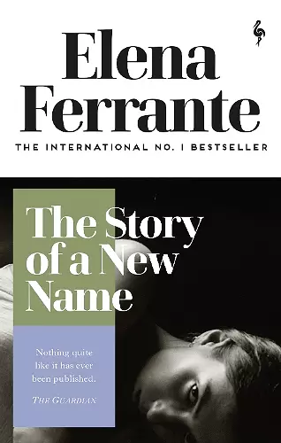 The Story of a New Name cover