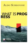 What is Progress packaging