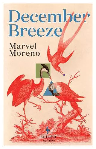 December Breeze cover