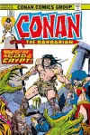 Conan The Barbarian: The Original Comics Omnibus Vol.3 cover